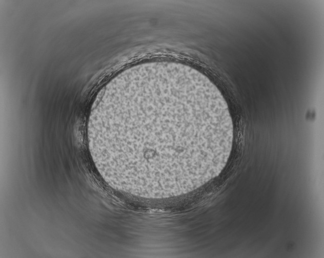 X0000115611490200912221156