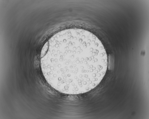 X0000115611491200912221156