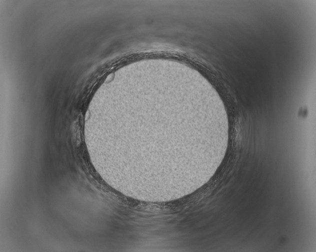 X0000115611493200912221156