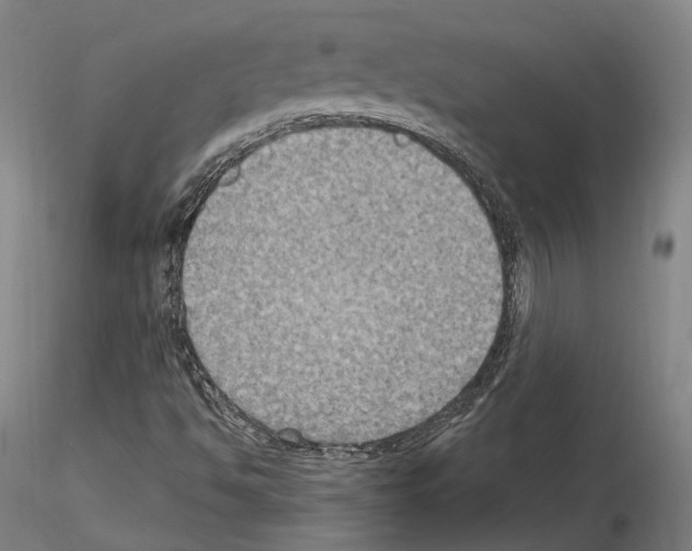X0000115611494200912221156