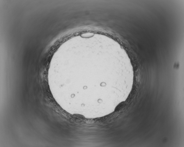 X0000115611495200912221156