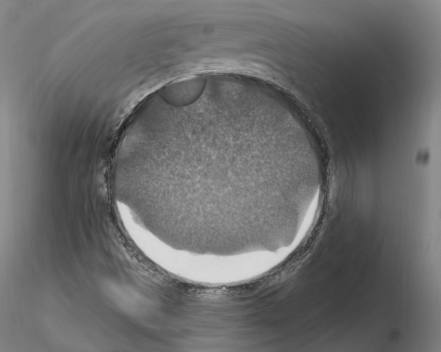 X0000115611497200912221156