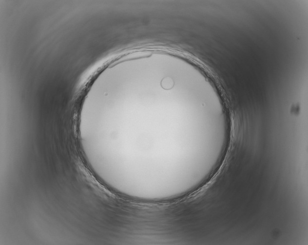 X0000115611502200912221156