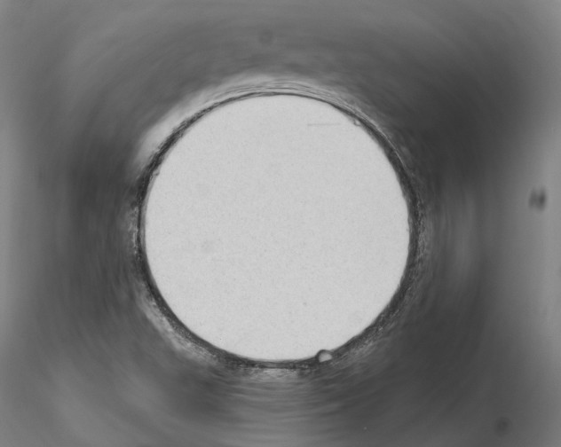X0000115611503200912221156