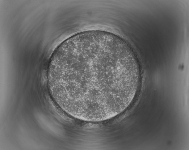 X0000115611505200912221156