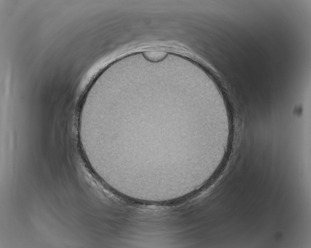 X0000115611506200912221156
