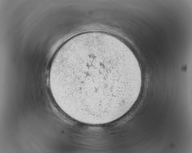 X0000115611509200912221156