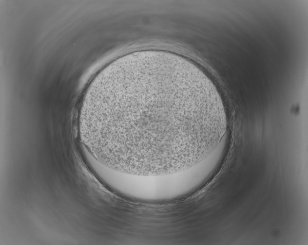X0000115611510200912221156