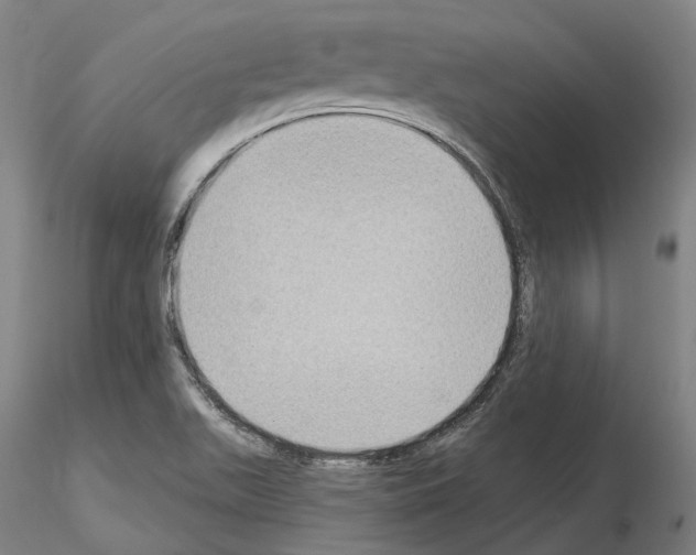 X0000115611511200912221156
