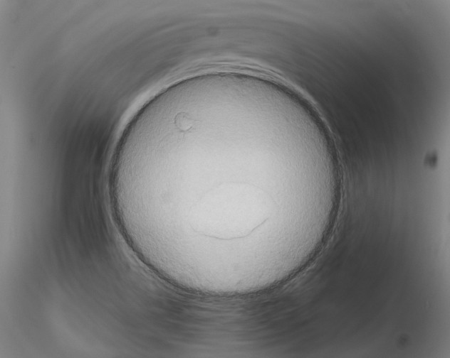 X0000115611514200912221156