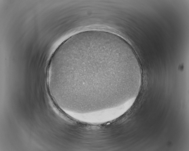 X0000115611515200912221156