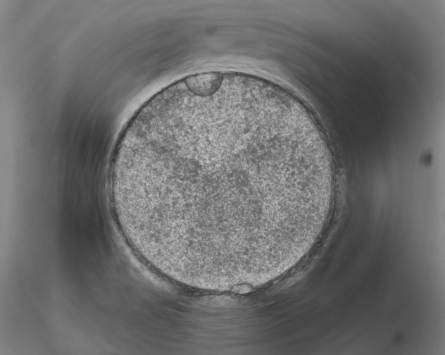 X0000115611517200912221156
