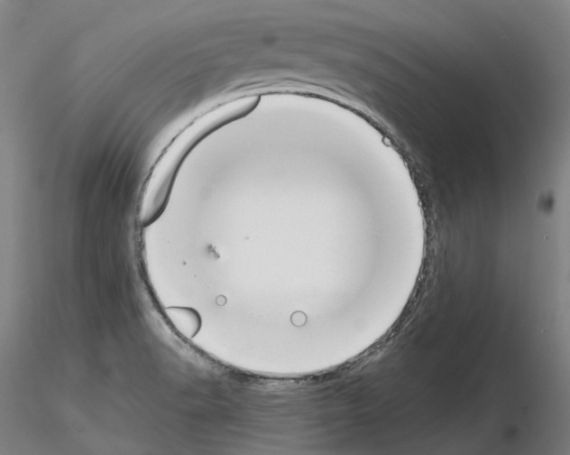 X0000115611518200912221156