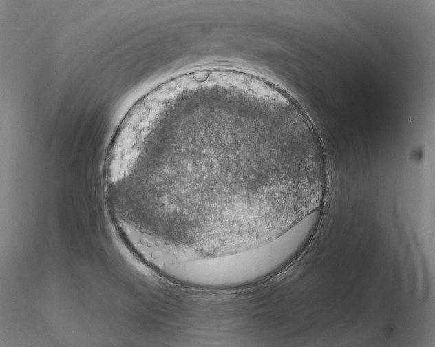 X0000115611519200912221156
