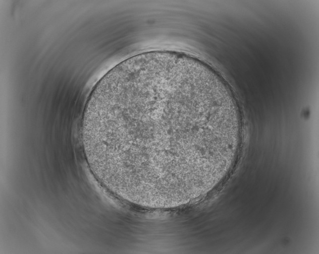 X0000115611521200912221156