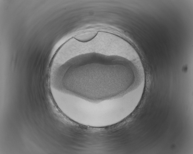 X0000115611522200912221156