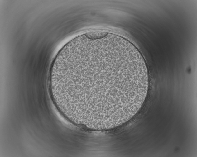 X0000115611523200912221156