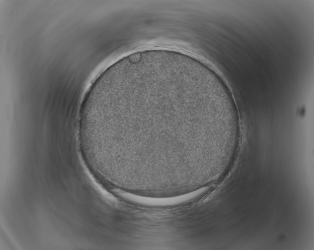 X0000115611525200912221156