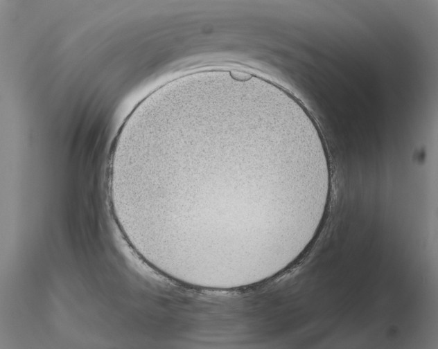 X0000115611526200912221156