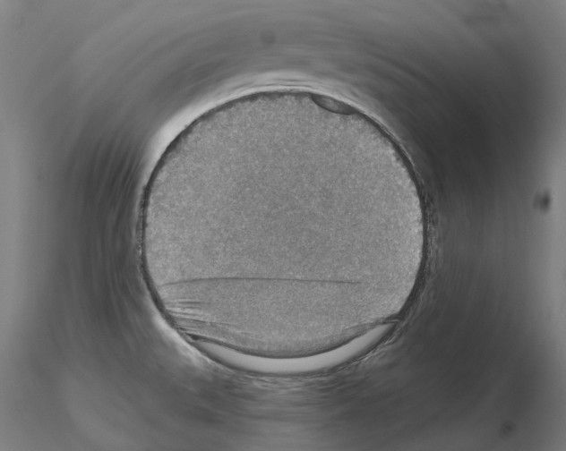 X0000115611527200912221156