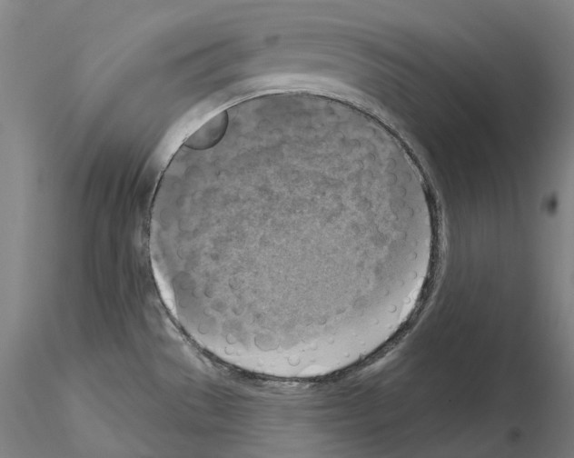 X0000115611529200912221156