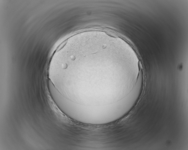 X0000115611530200912221156