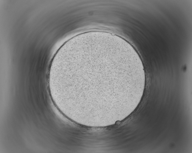 X0000115611531200912221156