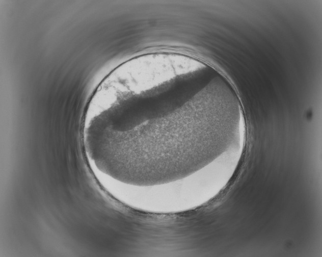 X0000115611533200912221156