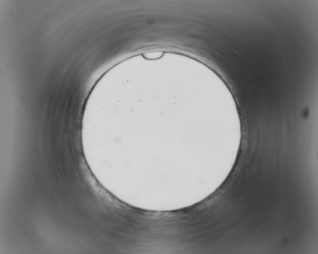 X0000115611534200912221156