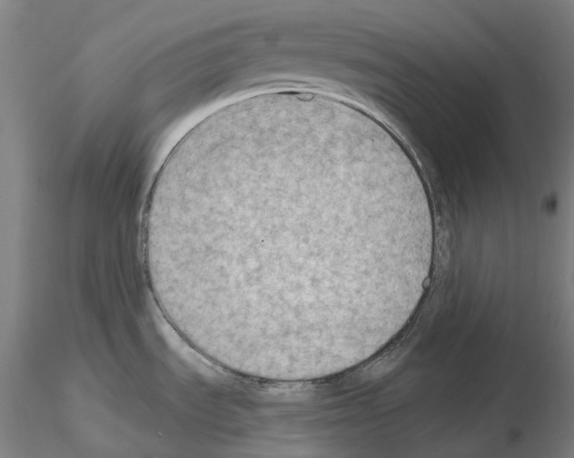 X0000115611535200912221156