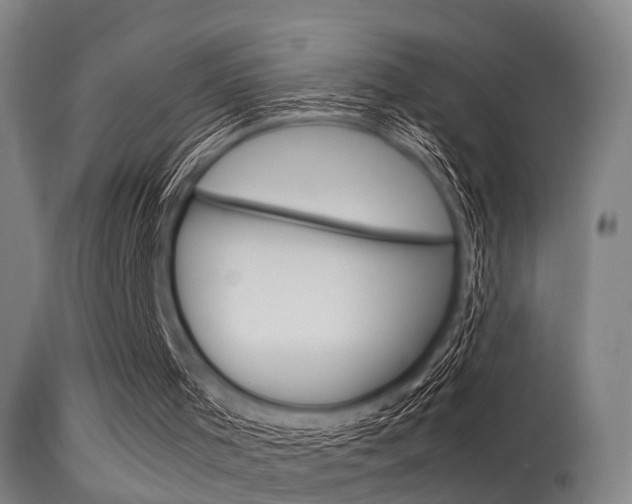 X0000115620001200911101107