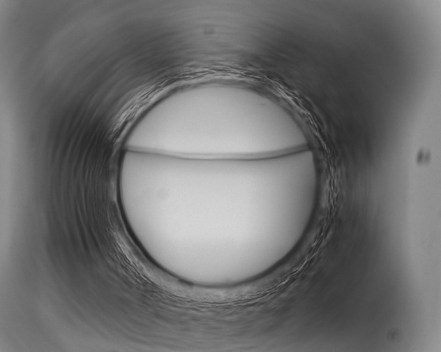 X0000115620002200911101107