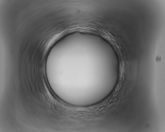 X0000115620003200911101107