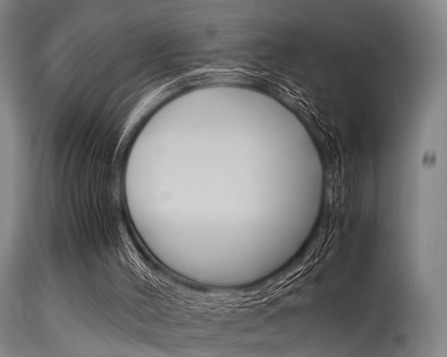 X0000115620004200911101107