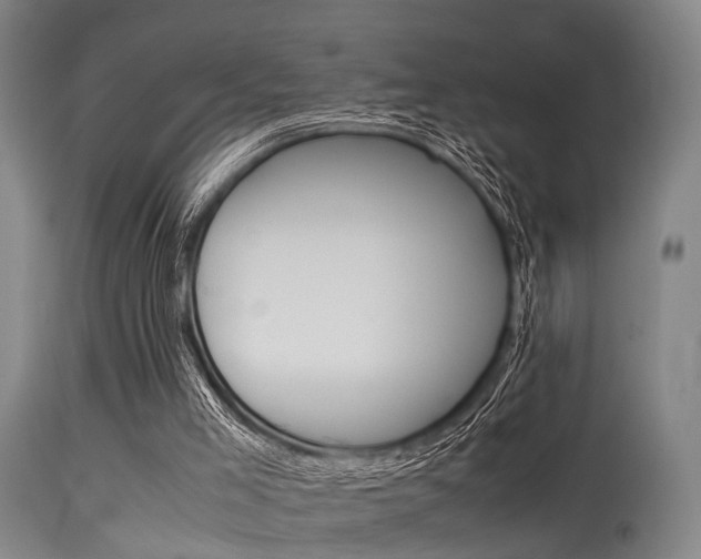 X0000115620005200911101107