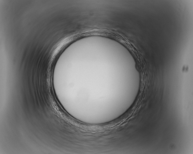 X0000115620006200911101107