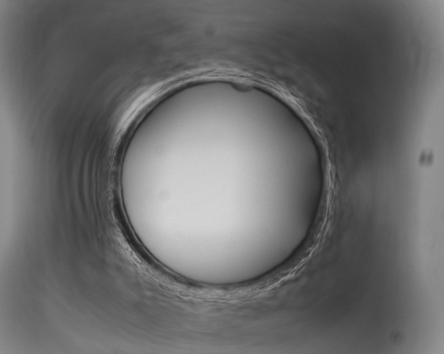 X0000115620007200911101107