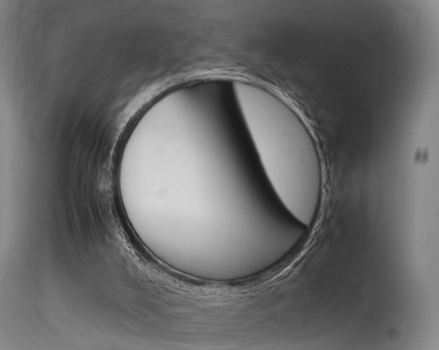 X0000115620008200911101107