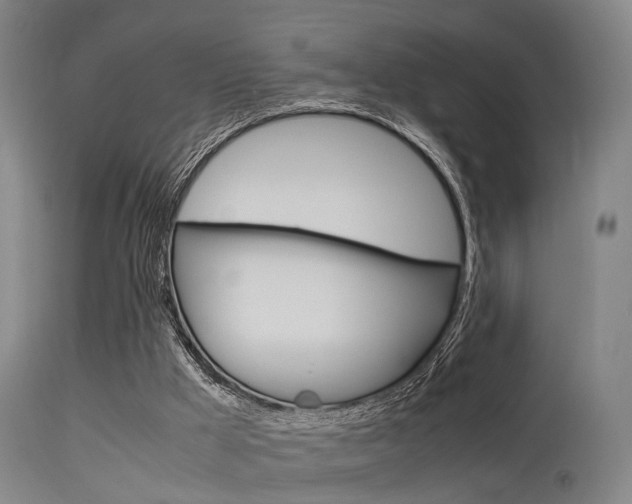 X0000115620009200911101107