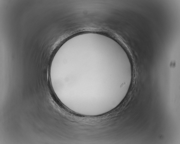 X0000115620011200911101106