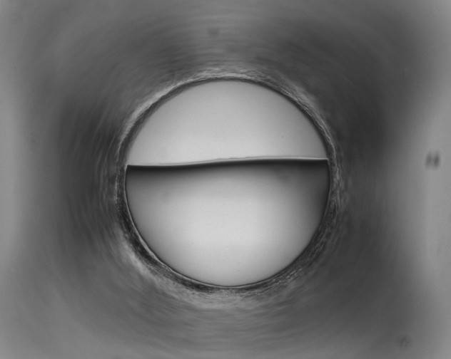 X0000115620012200911101106