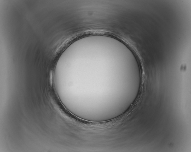 X0000115620013200911101106