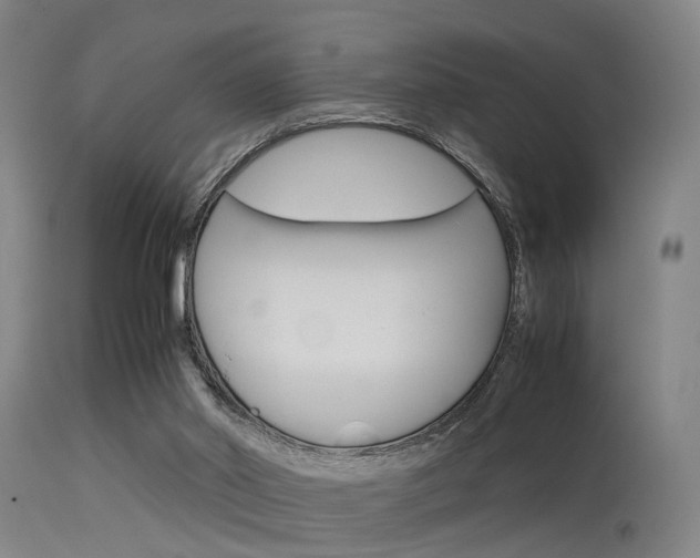 X0000115620014200911101106