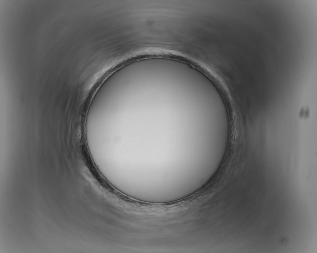 X0000115620015200911101106