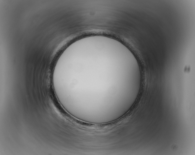 X0000115620016200911101106