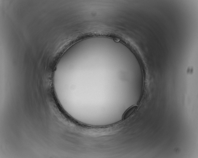 X0000115620017200911101106