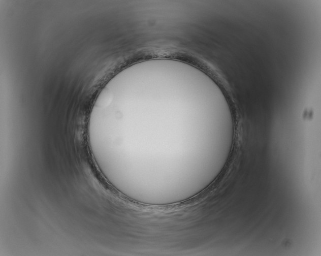 X0000115620018200911101106