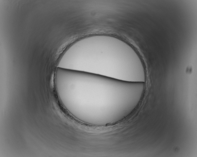 X0000115620019200911101106