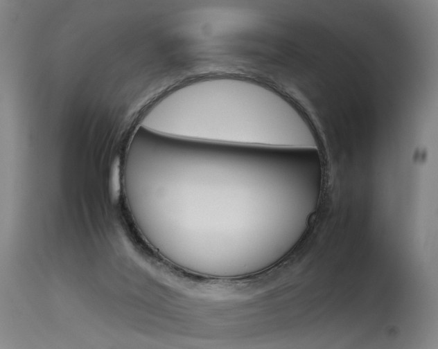 X0000115620020200911101106