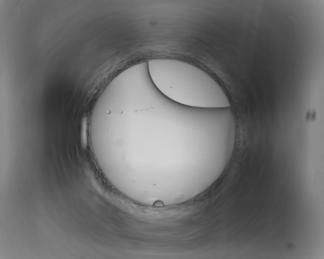 X0000115620022200911101106